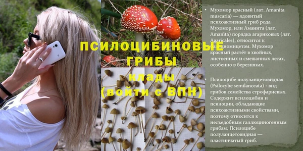прущая мука Каменск-Шахтинский