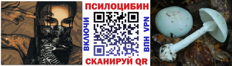 Псилоцибиновые грибы Psilocybine cubensis  Обнинск 